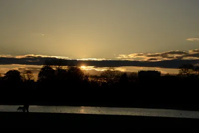 DSC_7154 (Large).JPG